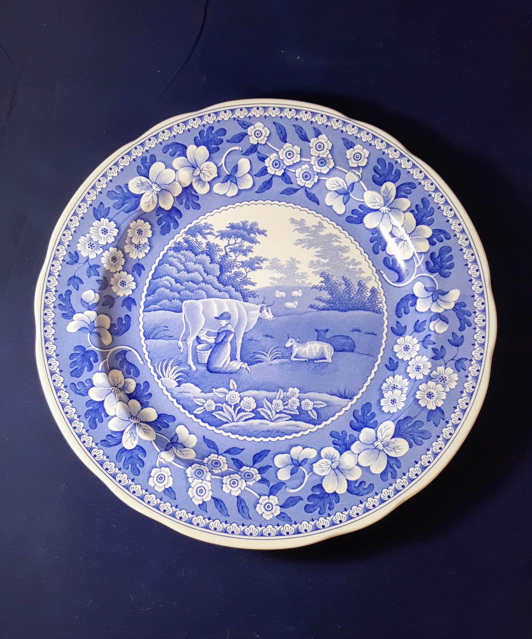 SPODE BLUE ROOM Decorative Plate Series GIFT HOSTESS GIFT OURSTORY COLLECTIBLES